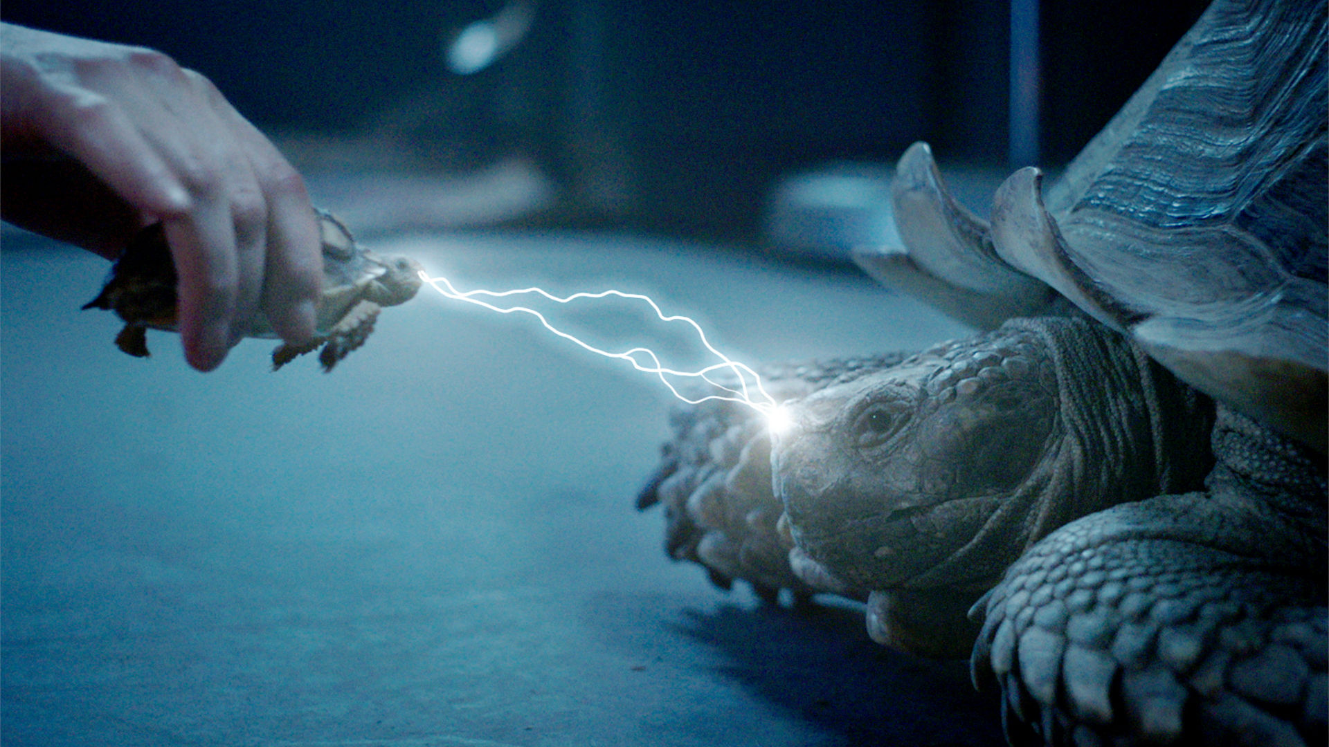 12 Monkeys S3E6 Nature