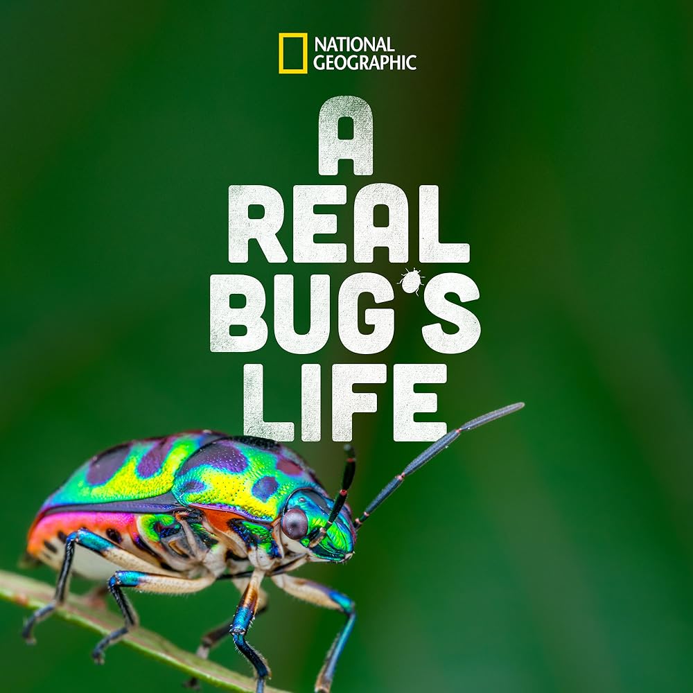 A Real Bug's Life