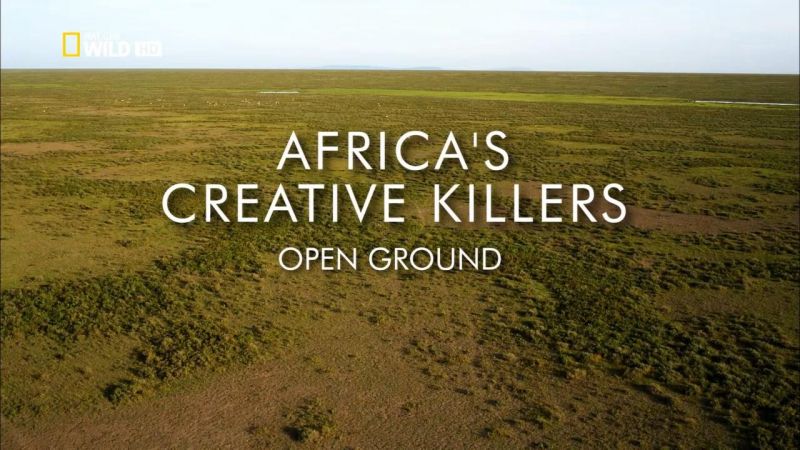 Africas Creative Killers 2of2 Open Ground 720p x264 HDTV EZTV