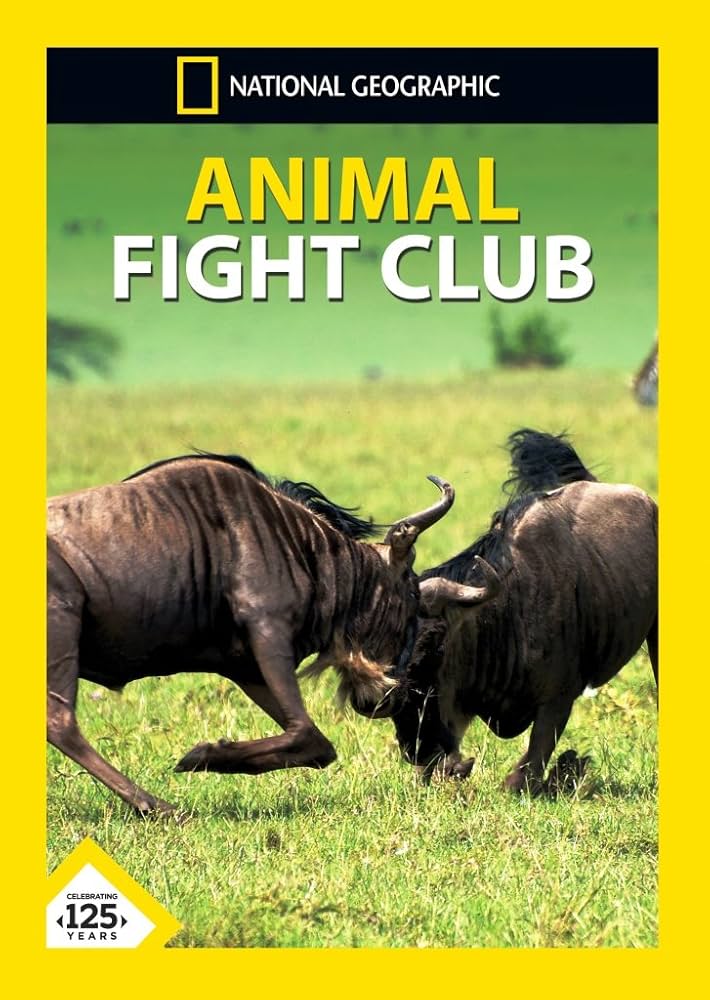 Animal Fight Night