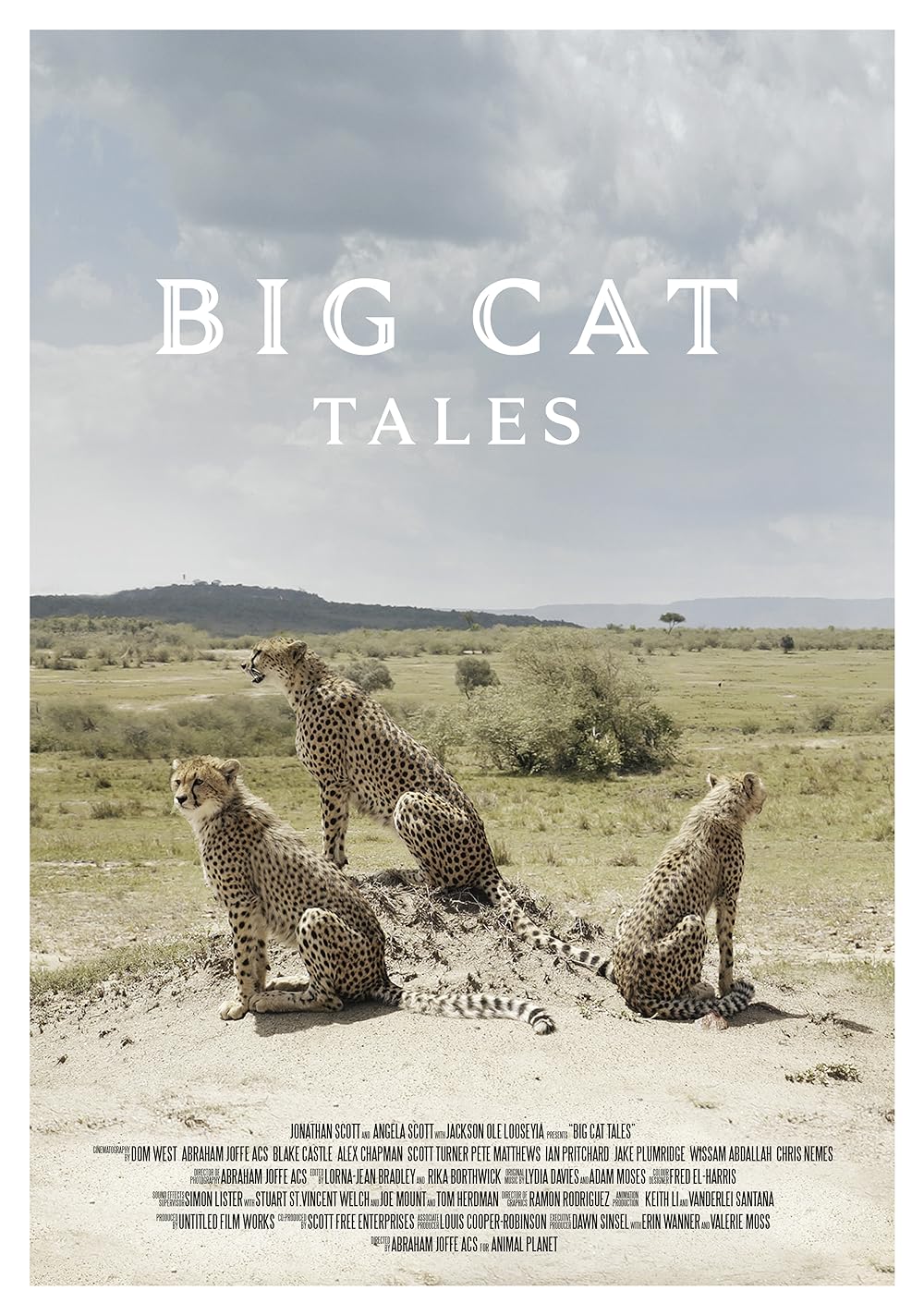 Big Cat Tales
