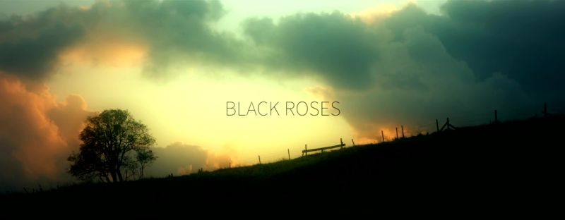 Black Roses The Killing of Sophie Lancaster 720p x264 EZTV