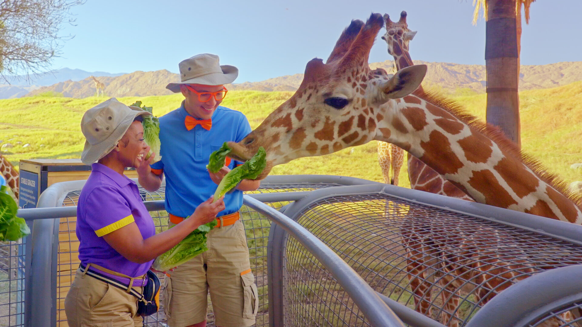 Blippi's Job Show S2E1 Zookeepers