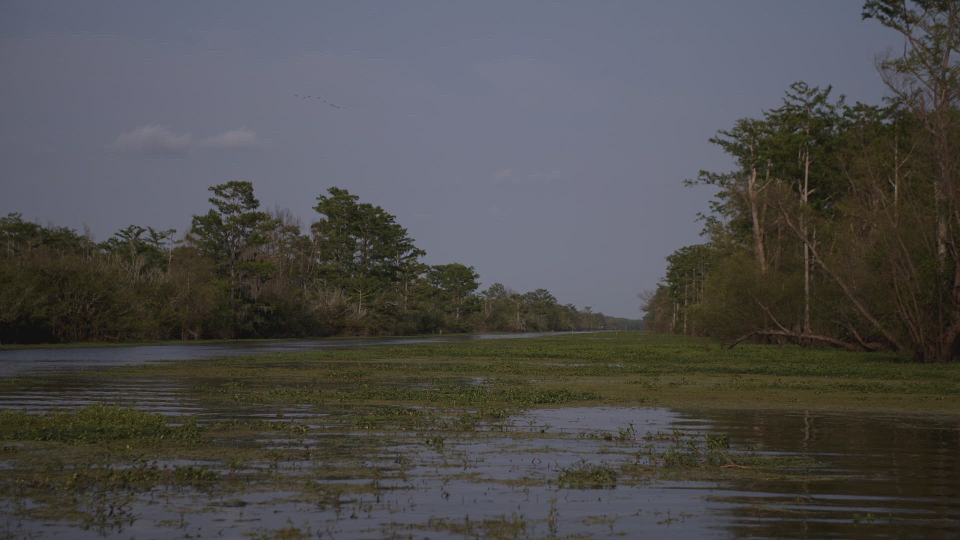 Cold Case Files: Murder in the Bayou S1E1 A Trinity River Murder