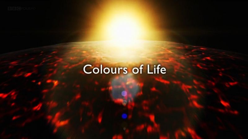 Colour The Spectrum Of Science 2of3 Colours Of Life 720p x264 HDTV EZTV