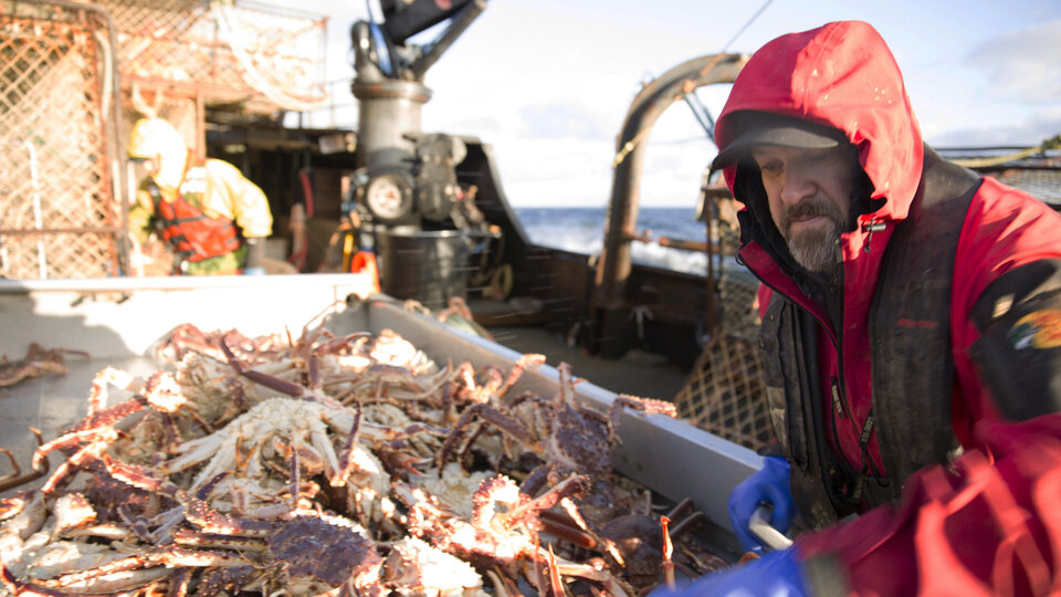 Deadliest Catch S11E8 Zero Hour
