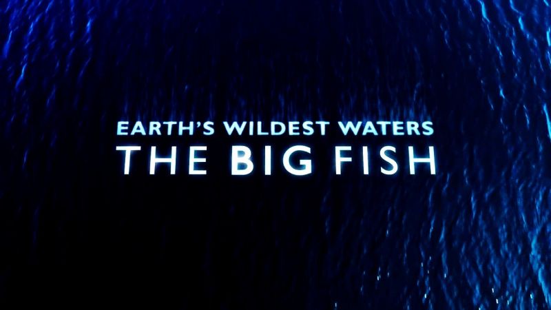 Earths Wildest Waters The Big Fish Series 1 2of6 Cuba 720p x264 HDTV EZTV