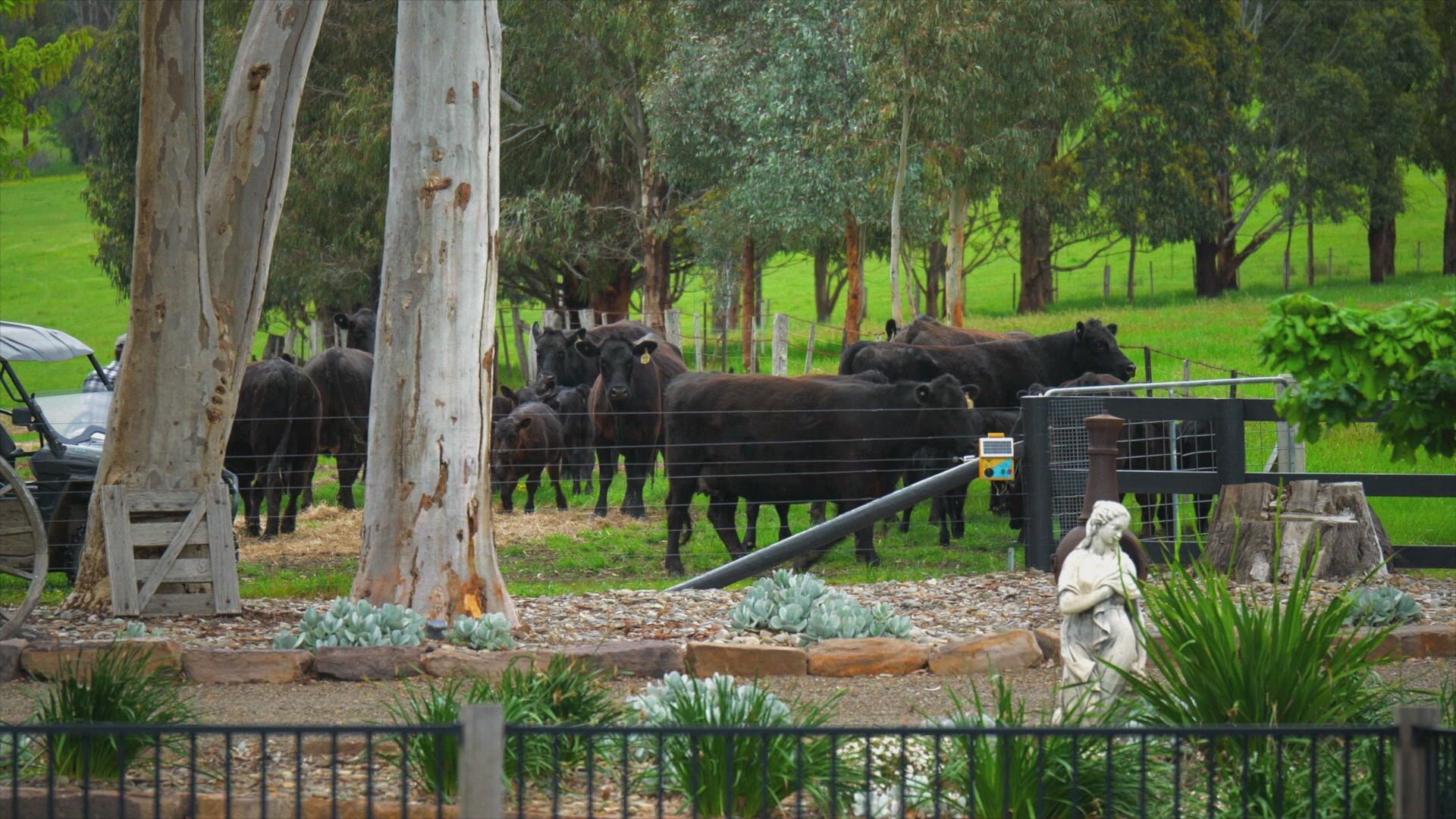 Find My Country House: Australia S1E7 Mansfield Nick & Julie