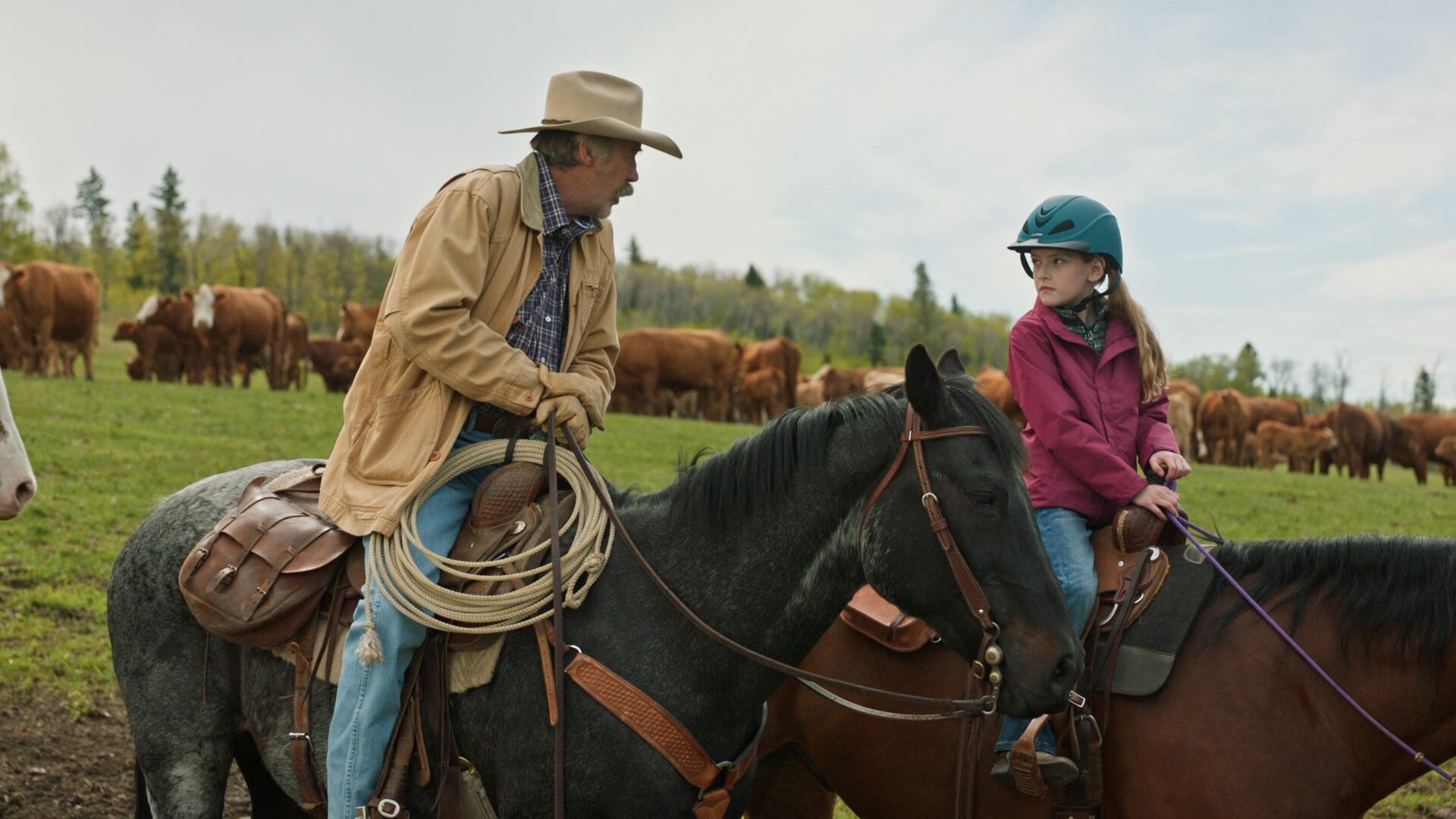 Heartland S20E1 Renewal