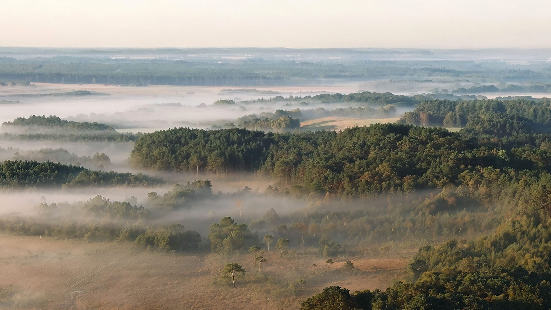 Inside Britain's National Parks S1E1 New Forest