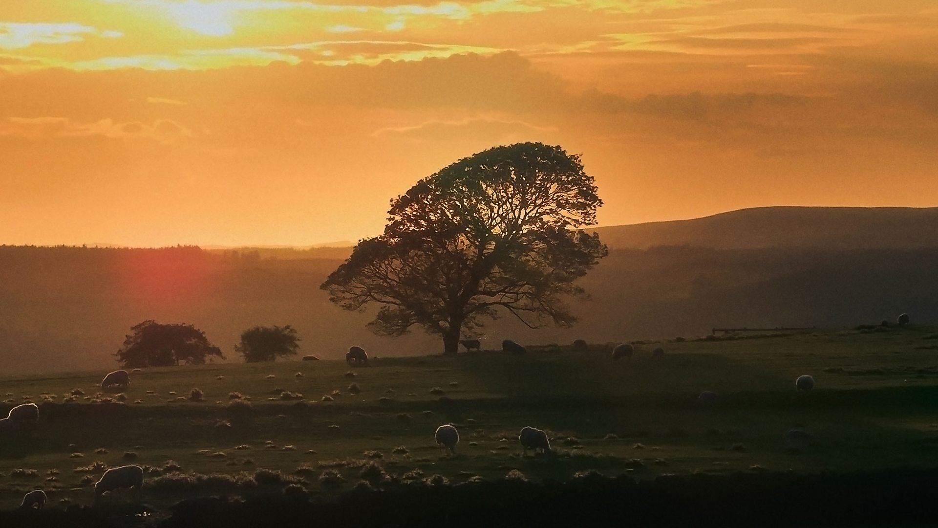 Inside Britain's National Parks S1E4 Northumberland
