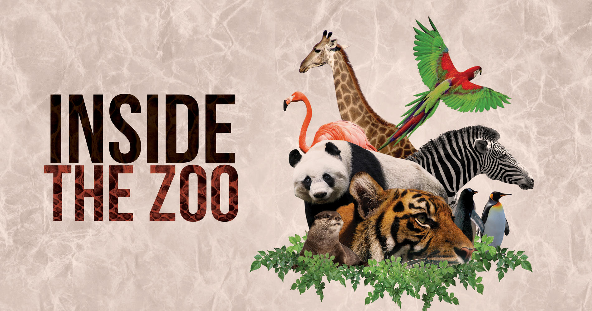 Inside the Zoo