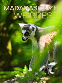 Madagascar Weirdest