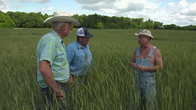 Moonshiners S7E0 Legacy on the Line