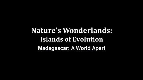 Natures Wonderlands Islands Of Evolution Madagascar 720p x264 HDTV EZTV