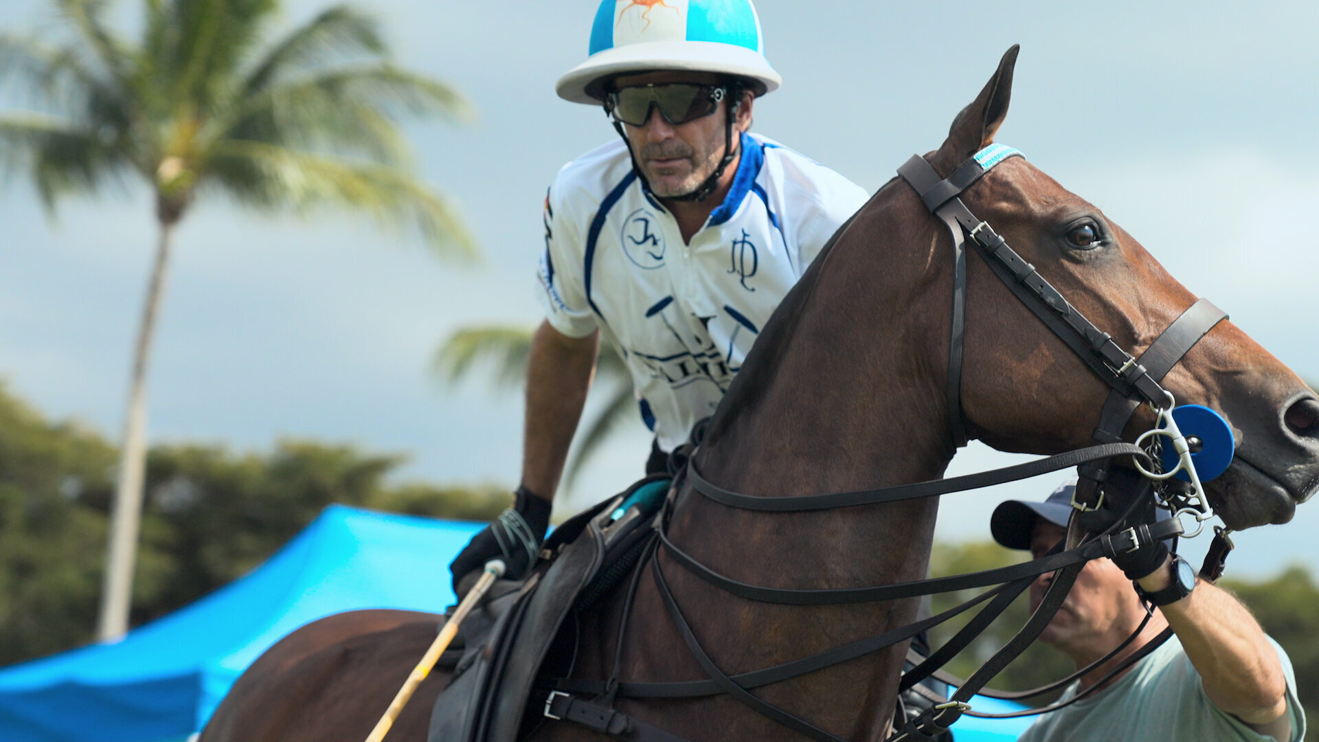 Polo S1E2 Focus