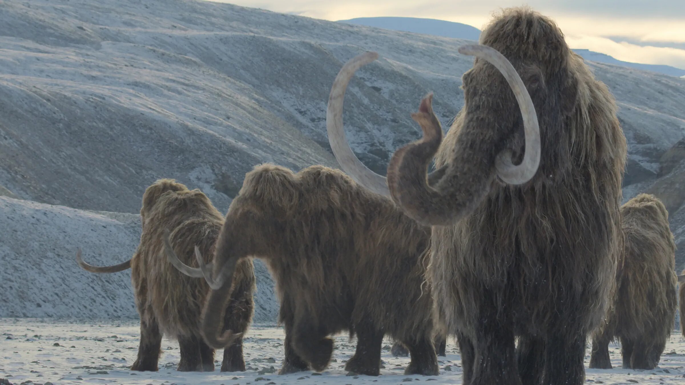 Prehistoric Planet S3E5 The Big Melt