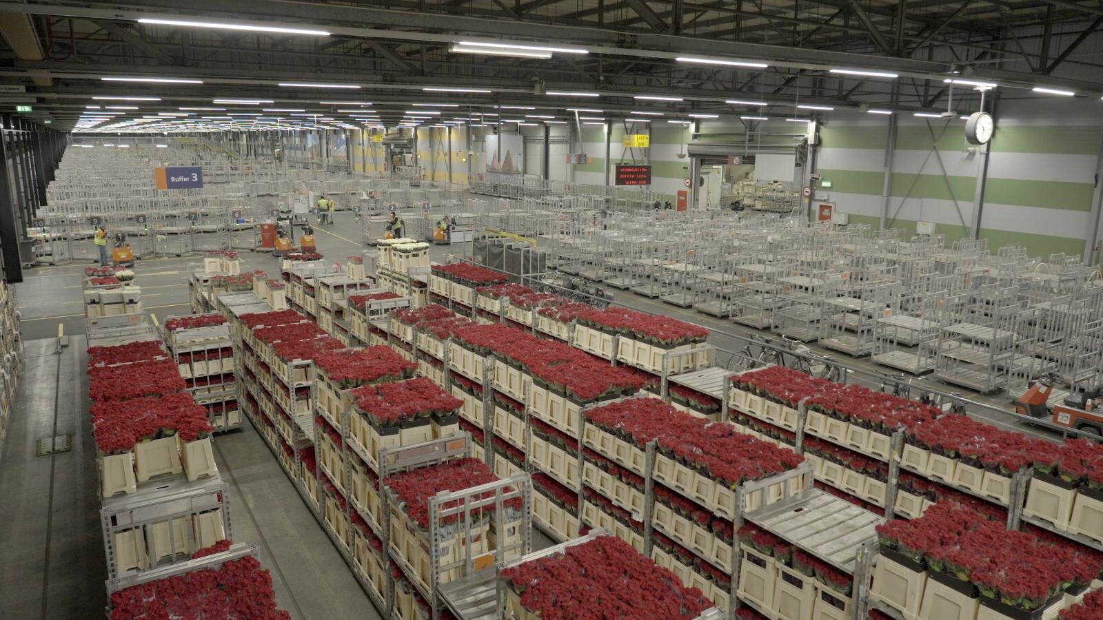 Premium Rush: Inside Air Cargo Singapore S1E2 Seasonal Flyers