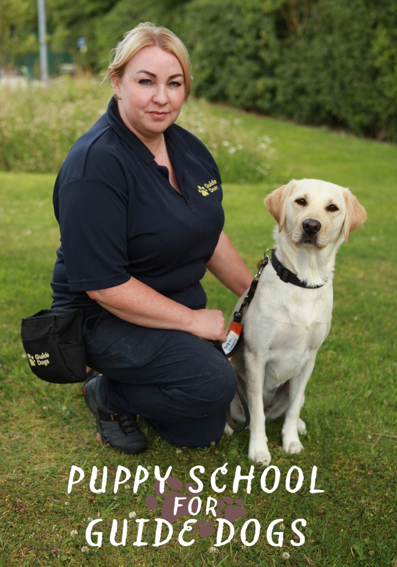 Puppy School for Guide Dogs