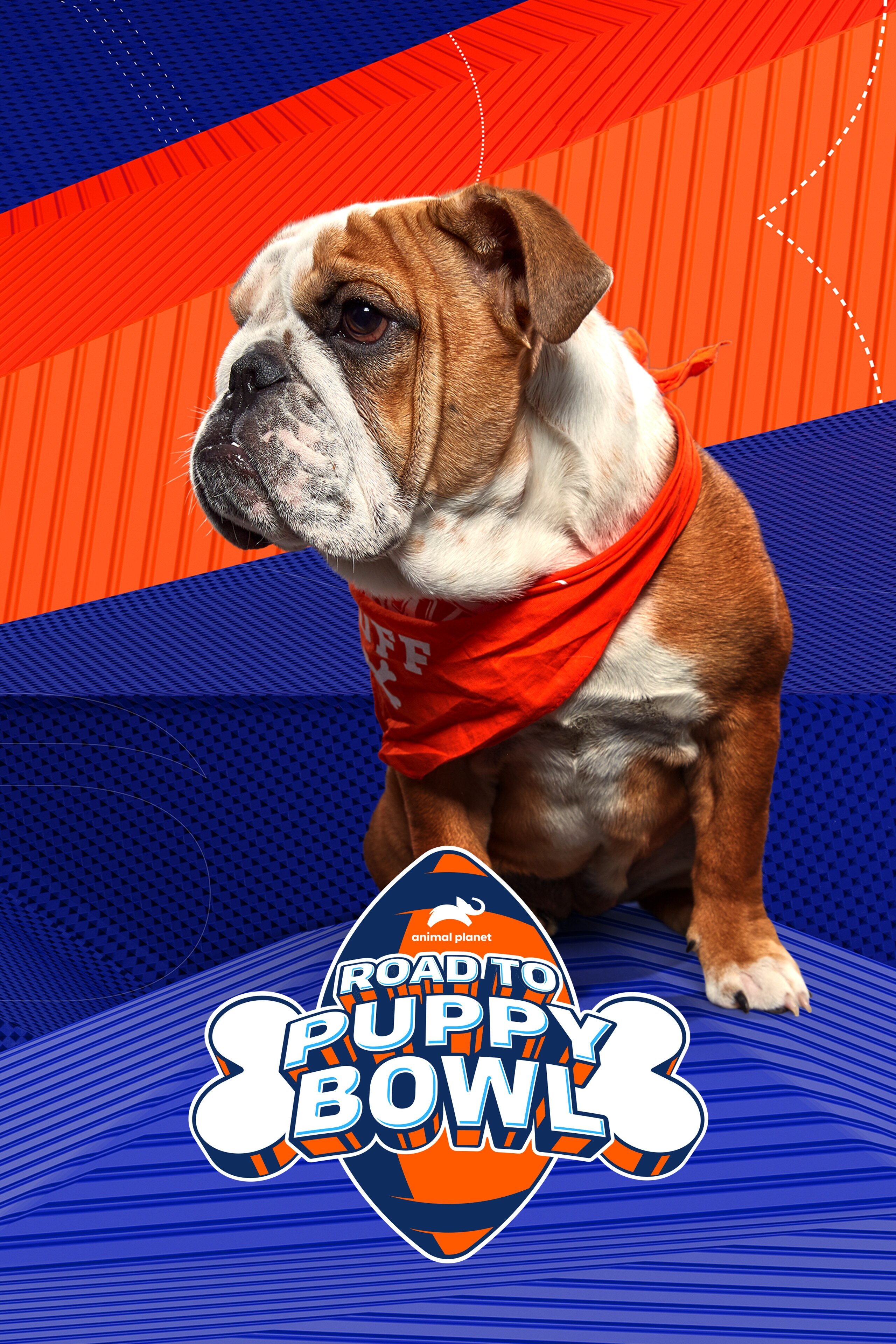 Road to Puppy Bowl