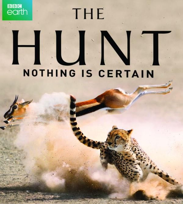 The Hunt 3of7 Hide and Seek 1080p x264 HDTV EZTV