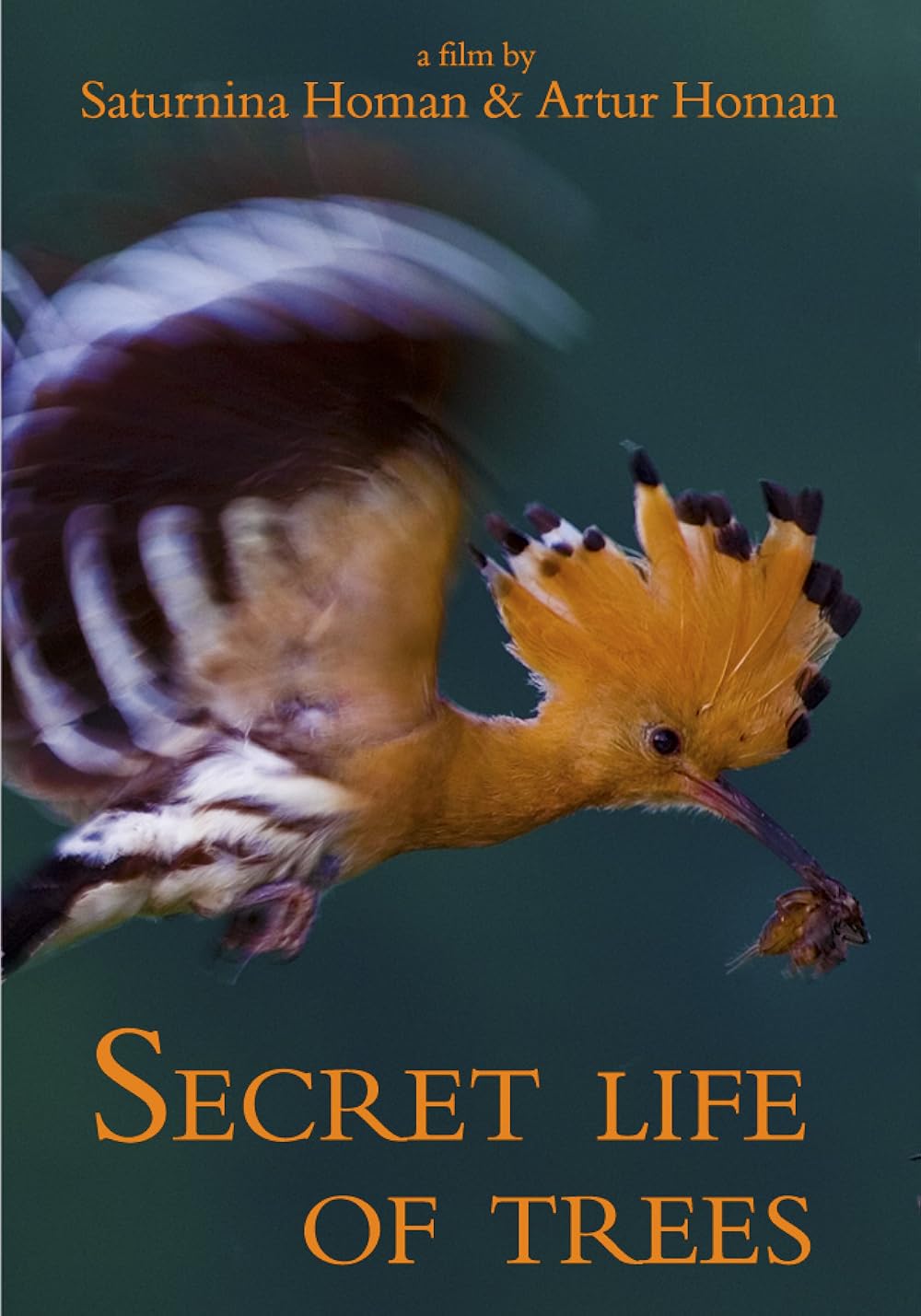 The Secret Life of Trees