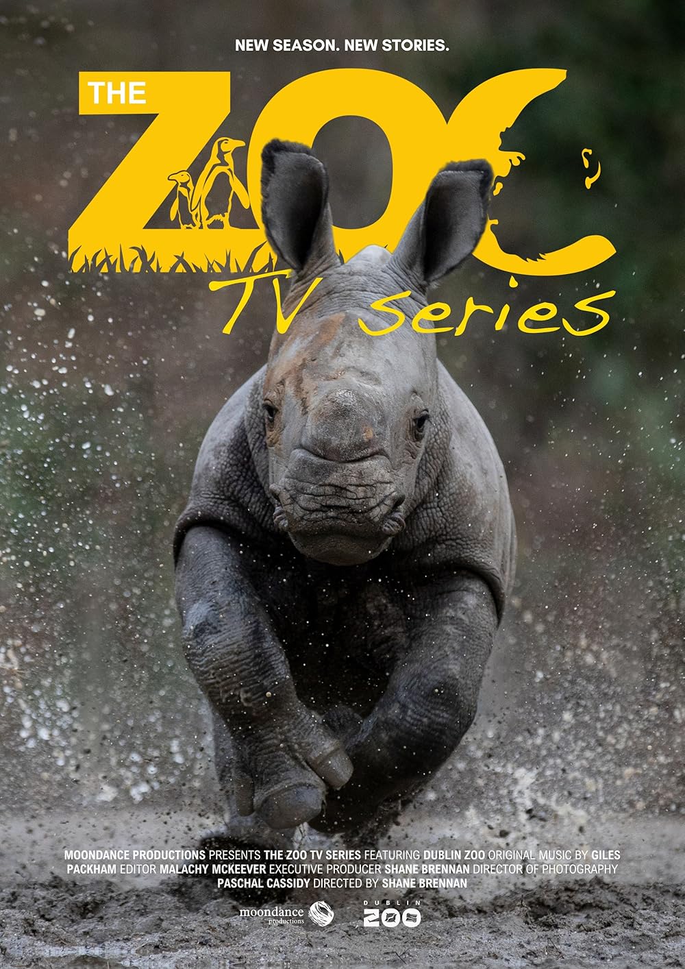 The Zoo