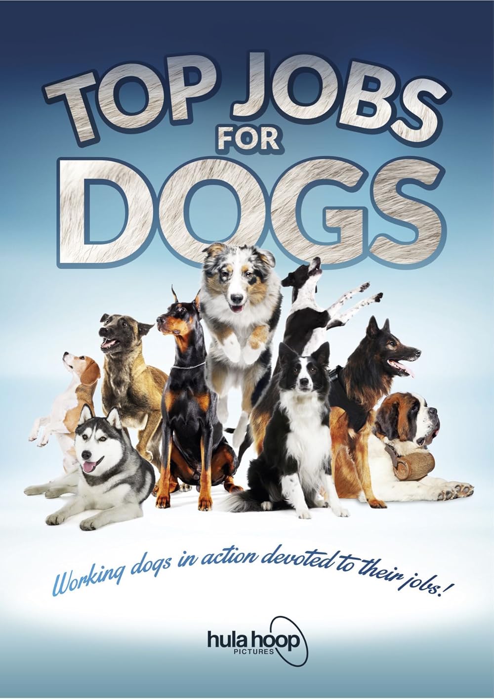 Top Jobs for Dogs