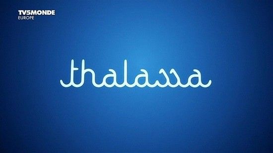 TV5Monde Thalassa 2015 Le climat les hommes et la mer PDTV x264 EZTV